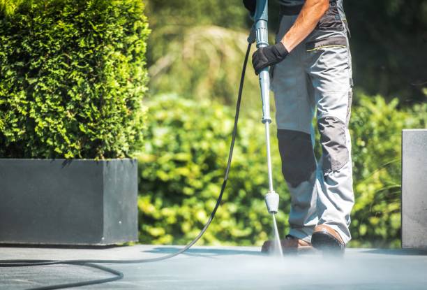 Best Building Exterior Washing  in Elmwood Place, OH